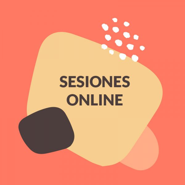 Sesiones online